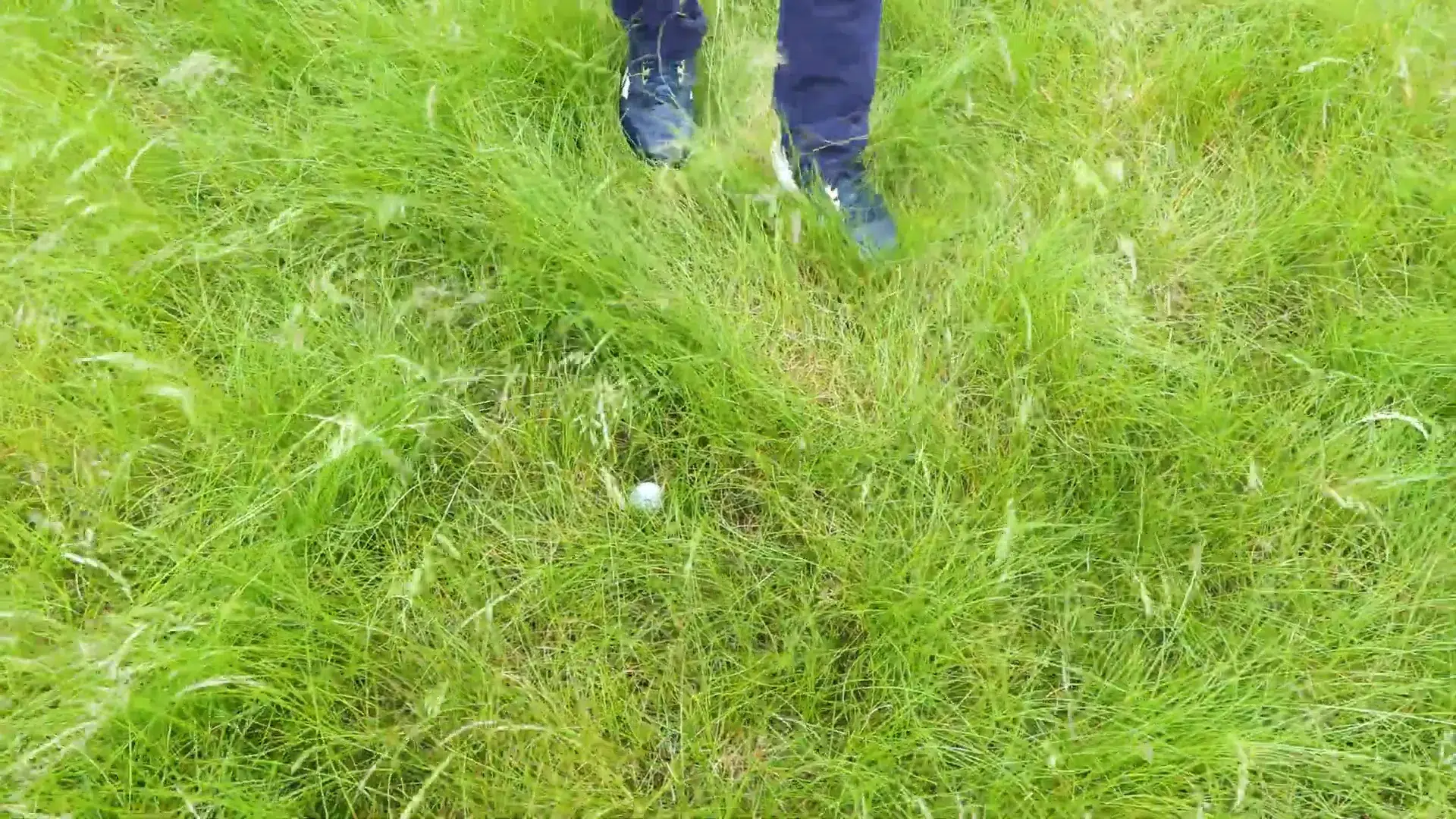 Blick ins tiefe Rough neben dem Fairway