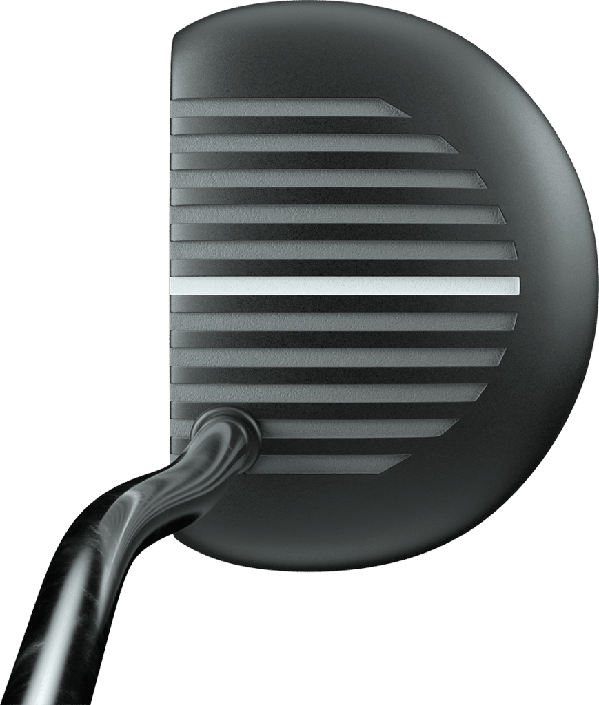 Kennst du noch den Zebra Putter? 5
