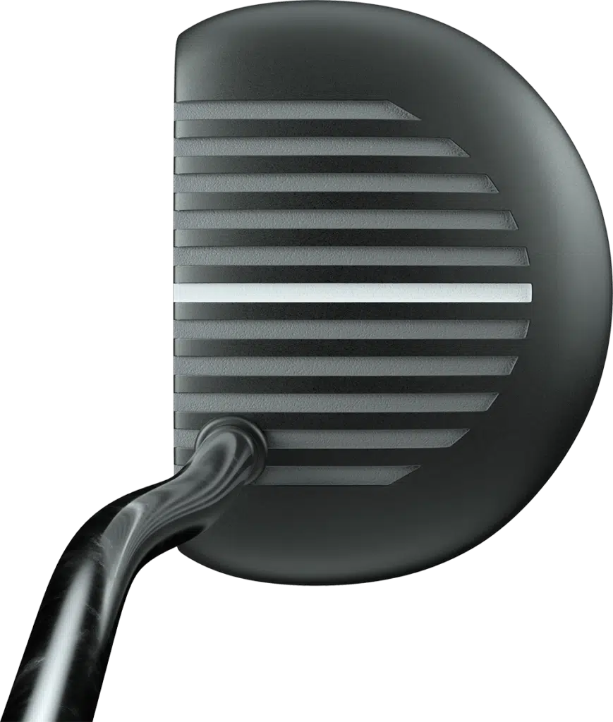 Kennst du noch den Zebra Putter? 6 Kennst du noch den Zebra Putter? 5